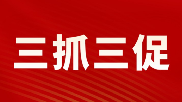 三抓三促进行时丨大阳城官网召开重点项目调度会