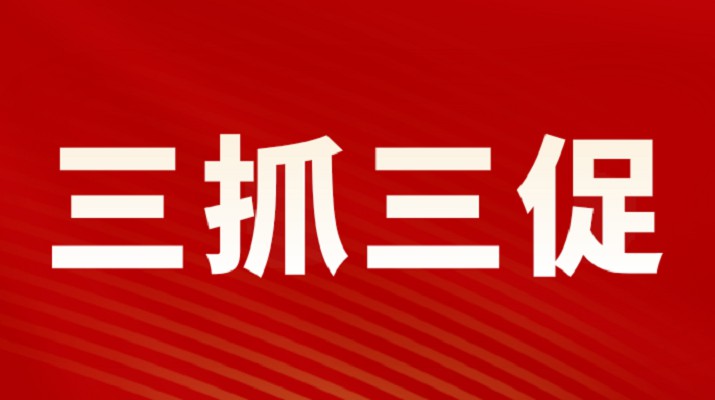 三抓三促进行时 | 大阳城官网党委专题学习《中国共产党宣传工作条例》